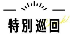 特別巡回